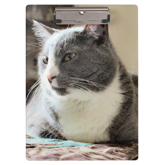 猫 クリップボード (正面)