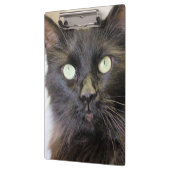 猫 クリップボード (左)