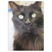 猫 クリップボード (裏面)