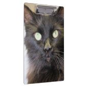 猫 クリップボード (右)