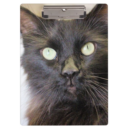 猫 クリップボード (正面)