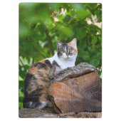 猫 クリップボード (裏面)