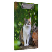 猫 クリップボード (右)