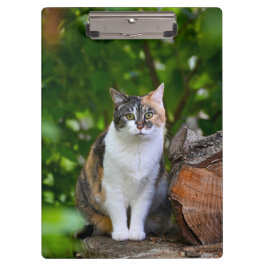 猫 クリップボード