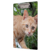 猫 クリップボード (左)