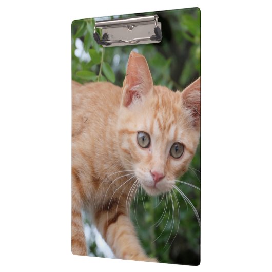 猫 クリップボード (左)