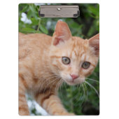 猫 クリップボード (正面)