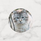 猫 コンフェッティ (スモール正面)