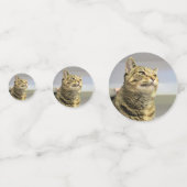 猫 コンフェッティ (正面)