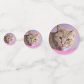 猫 コンフェッティ (正面)