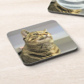 猫 コースター (左側)