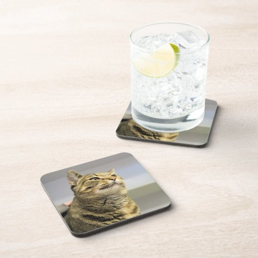 猫 コースター (右側)
