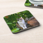 猫    コースター (左側)