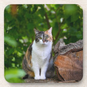猫    コースター (正面)