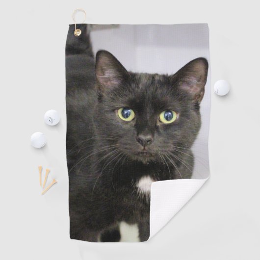 猫 ゴルフタオル (インサイチュ)