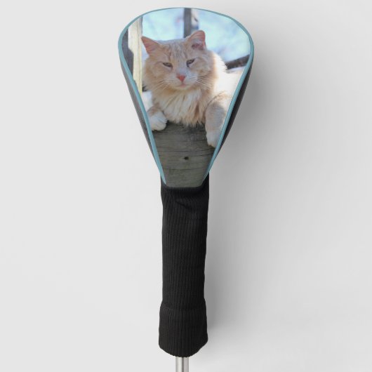 猫 ゴルフヘッドカバー (正面)