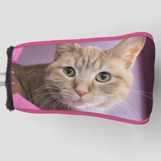 猫 ゴルフヘッドカバー (正面)