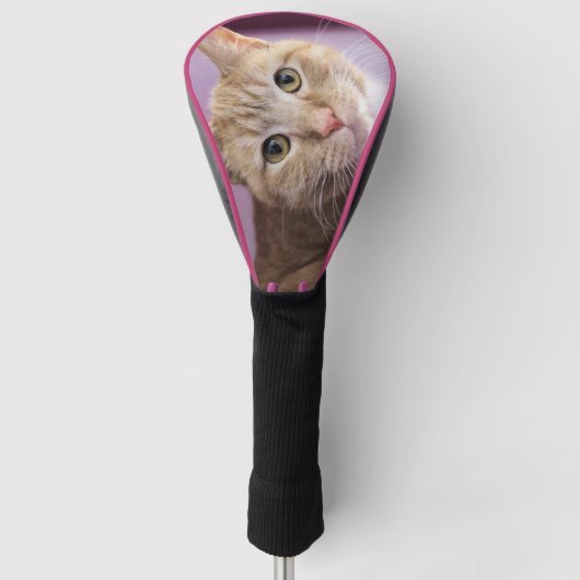 猫 ゴルフヘッドカバー (正面)