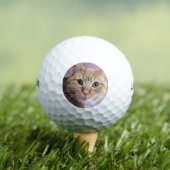 猫 ゴルフボール (インサイチュ 木)