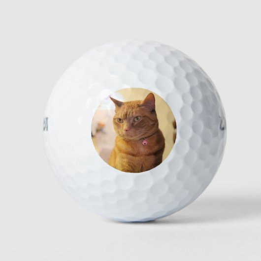 猫 ゴルフボール (正面)