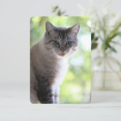 猫 サンキューカード (スタンド正面)