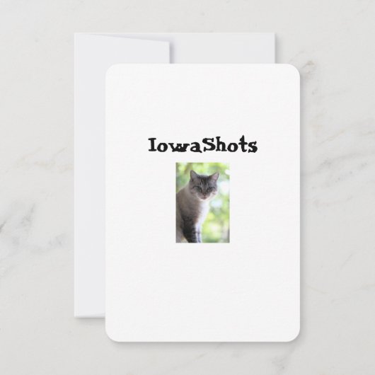 猫 サンキューカード (裏面)