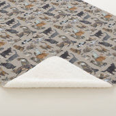 猫😺😻😽 シェルパブランケット (3/4)