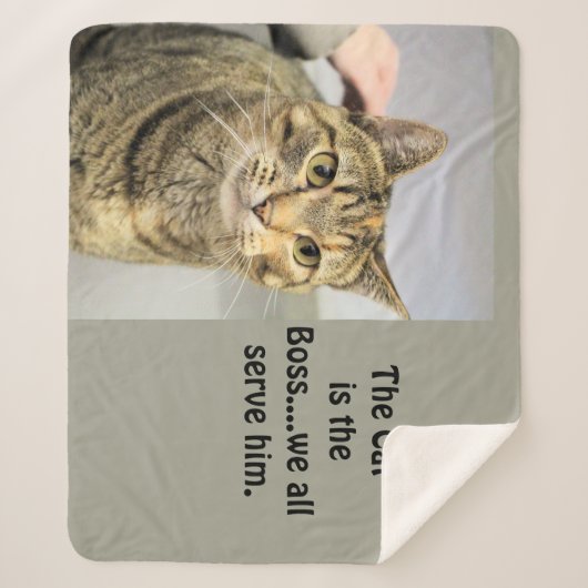 猫 シェルパブランケット (正面)