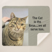 猫 シェルパブランケット (正面(横))