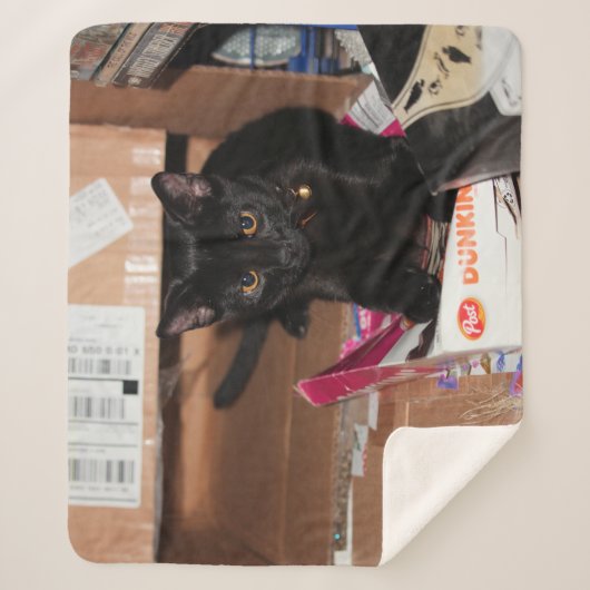 猫 シェルパブランケット (正面)