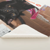 猫 シェルパブランケット (3/4)