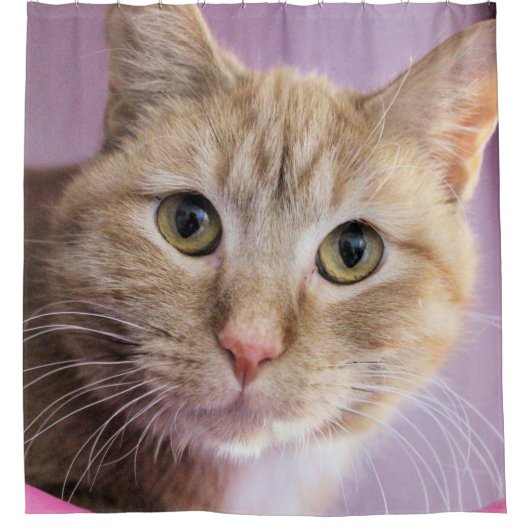 猫 シャワーカーテン (正面)