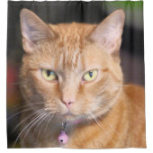 猫 シャワーカーテン (正面)