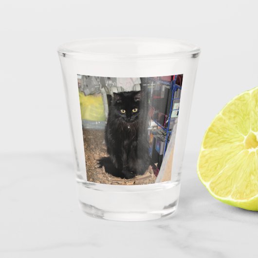 猫 ショットグラス (正面)