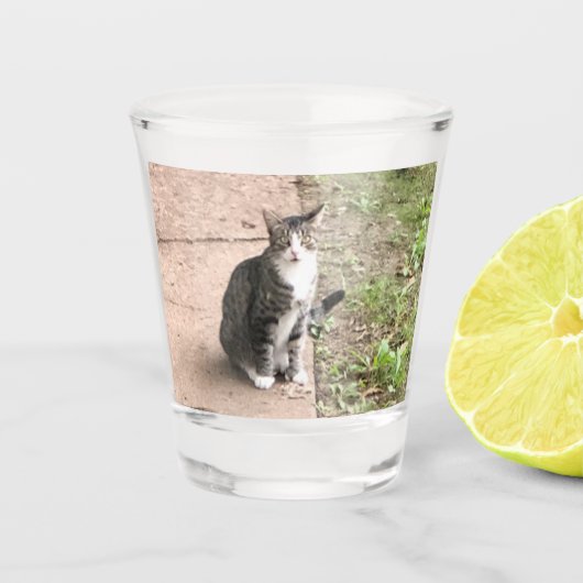 猫 ショットグラス (正面)