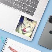 猫 シール (ノートパソコンとiPhone)