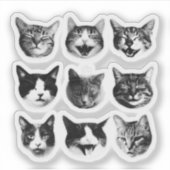 猫 シール (正面)