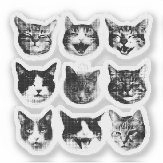 猫 シール (正面)