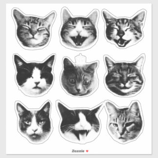 猫 シール