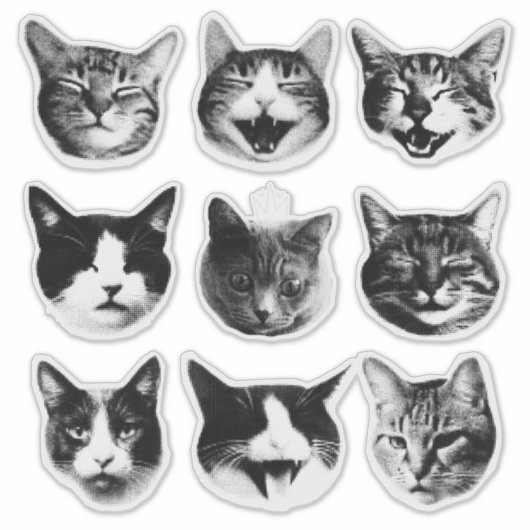 猫 シール (正面)