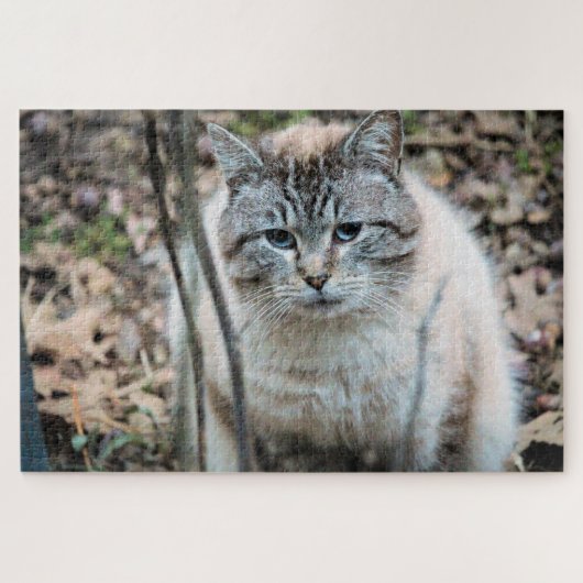 猫 ジグソーパズル (横)