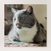 猫 ジグソーパズル (縦)