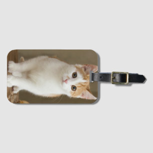 猫、ジンジャー、ペット ラゲッジタグ