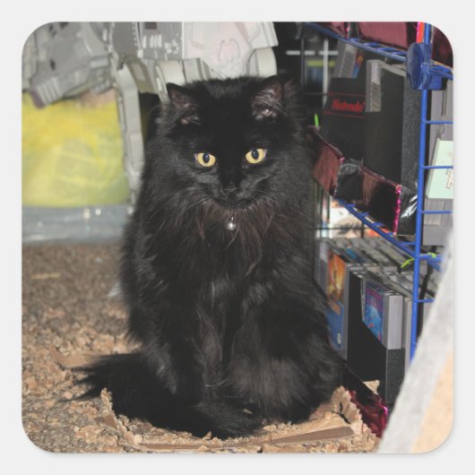 猫 スクエアシール (正面)