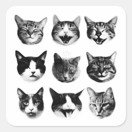 猫 スクエアシール (正面)