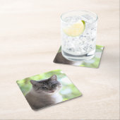 猫 スクエアペーパーコースター (インサイチュ)