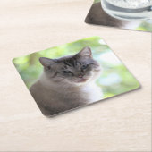 猫 スクエアペーパーコースター (アングル)