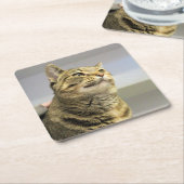 猫 スクエアペーパーコースター (アングル)