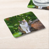 猫 スクエアペーパーコースター (アングル)