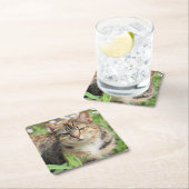 猫 スクエアペーパーコースター (インサイチュ)